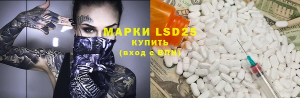 ГАЛЛЮЦИНОГЕННЫЕ ГРИБЫ Белокуриха