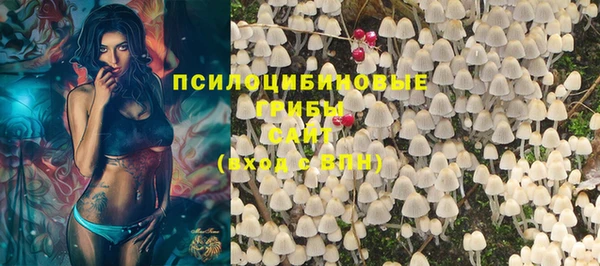 гидра Белоозёрский