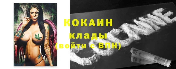 ГАЛЛЮЦИНОГЕННЫЕ ГРИБЫ Белокуриха