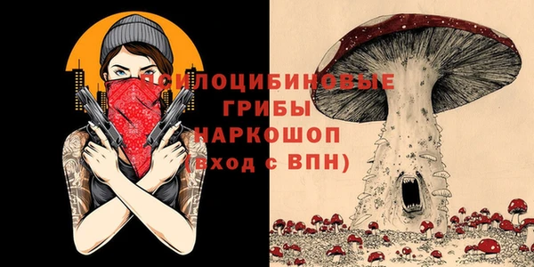 гидра Белоозёрский