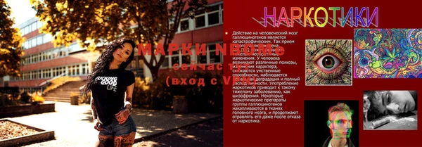 ГАЛЛЮЦИНОГЕННЫЕ ГРИБЫ Белокуриха