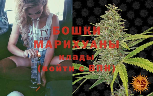 гидра Белоозёрский