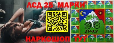 индика Краснознаменск