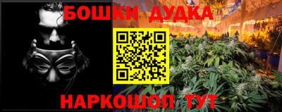 индика Краснознаменск