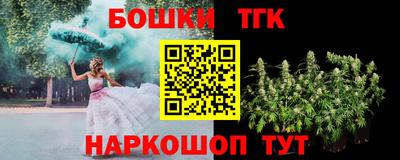 индика Краснознаменск