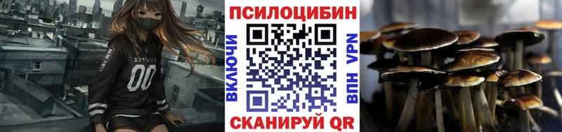 Галлюциногенные грибы Psilocybe  Калуга 